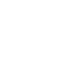 ikona