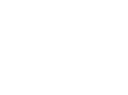 ikona