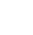 ikona